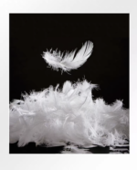 Almohadón pluma - Imagen 4